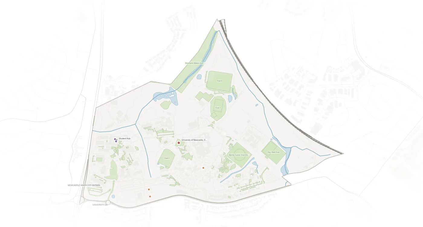 Callaghan urban fabric map
