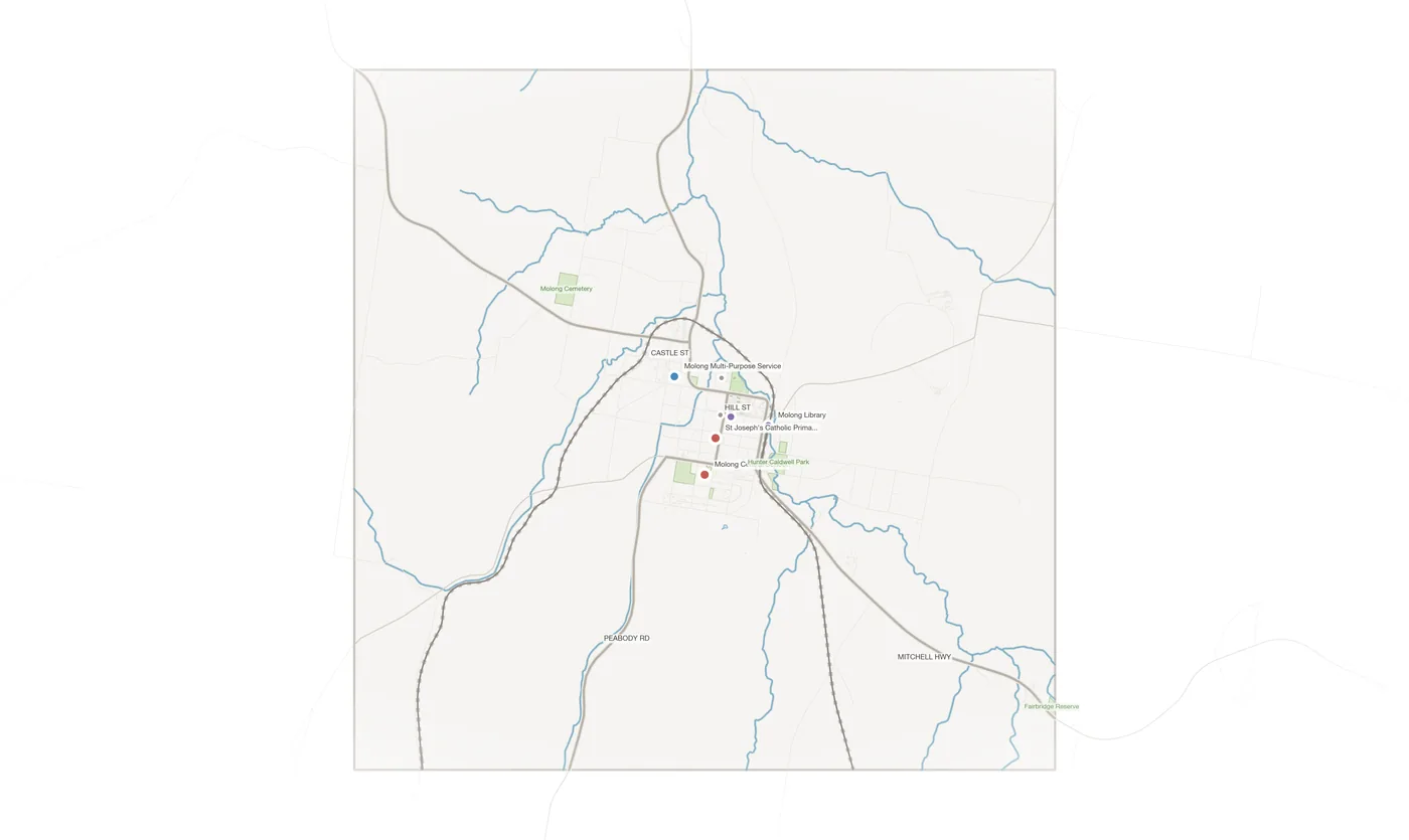 Molong urban fabric map