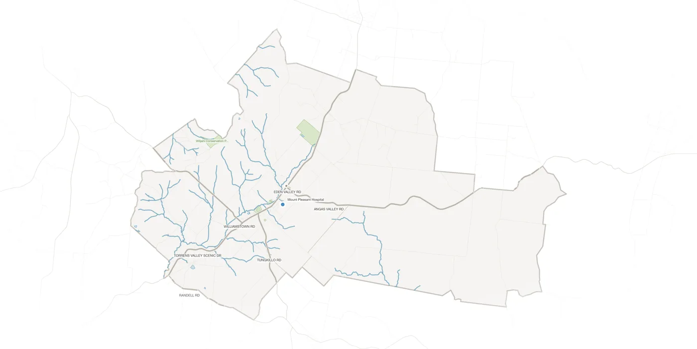 Mount Pleasant urban fabric map