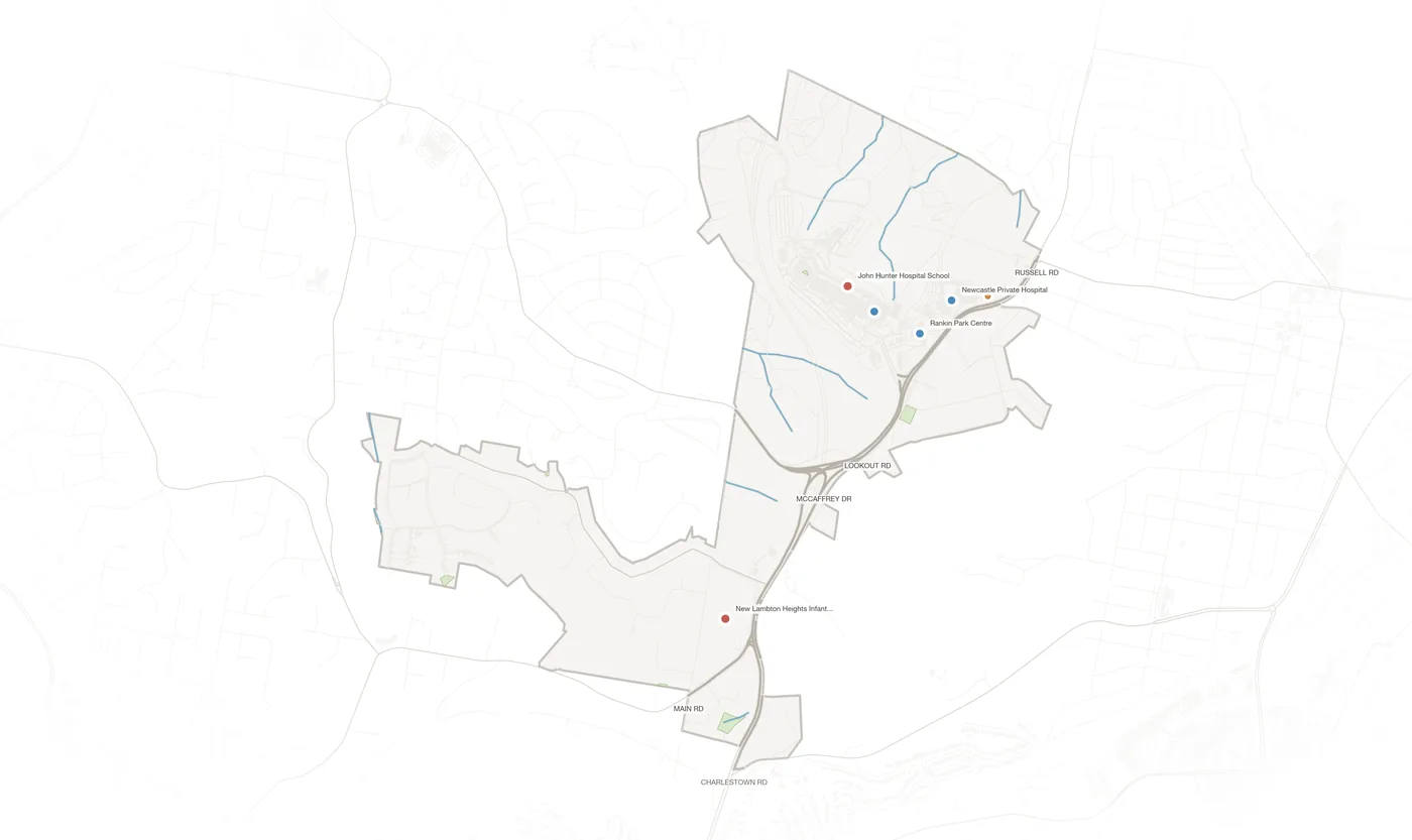 New Lambton Heights urban fabric map