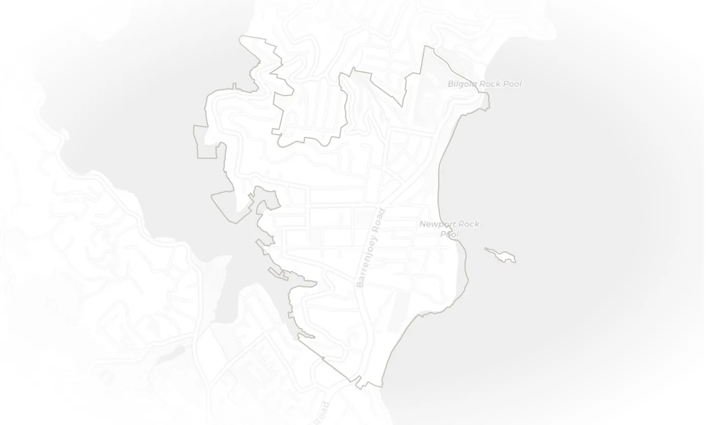 Newport urban fabric map