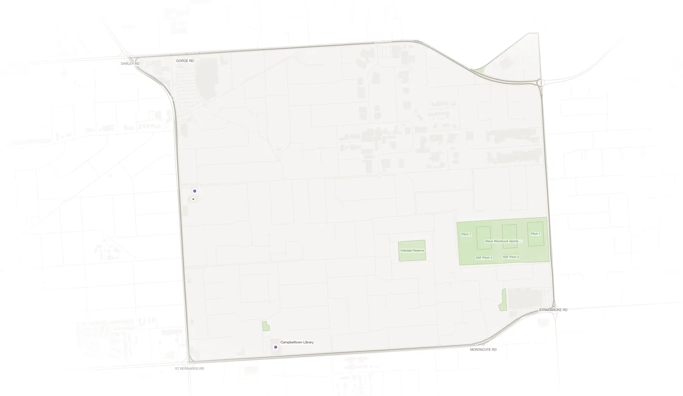 Newton urban fabric map